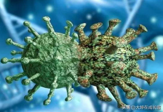 XBB毒株到底該怎么預(yù)防？我們一起來(lái)了解一下