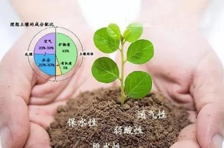 土壤有機質(zhì)含量與什么有關(guān) 土壤有機質(zhì)含量標準