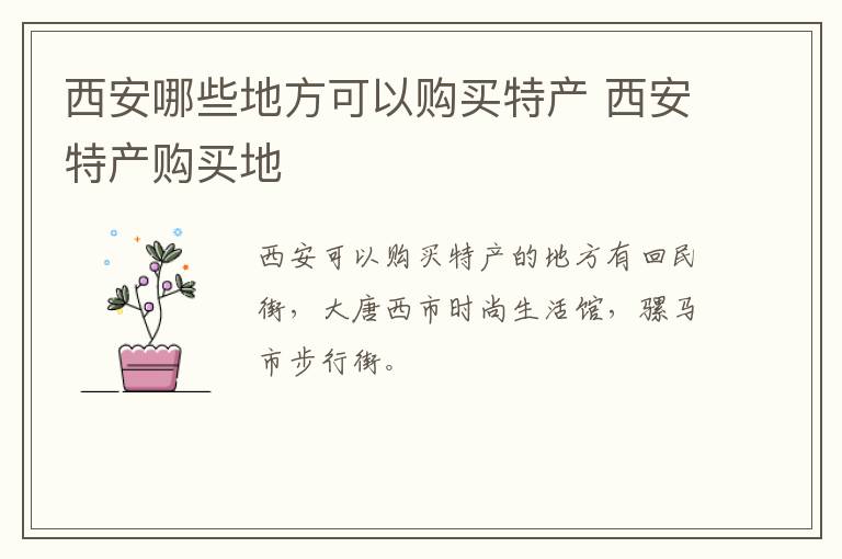 西安哪些地方可以購買特產(chǎn) 西安特產(chǎn)購買地介紹