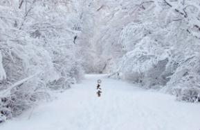 下大雪了的英語怎么說 下大雪了的英語怎么說
