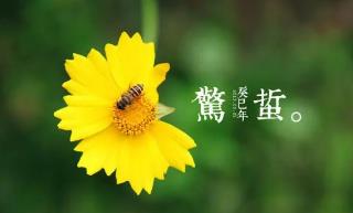 月夜反映的節(jié)氣是指的什么時(shí)候（詩(shī)詞鑒賞之劉方平的月夜）