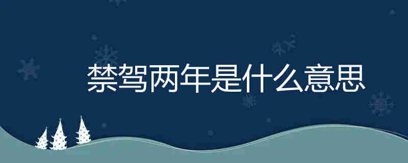 禁駕兩年是什么意思,禁駕兩年的情況有哪些？