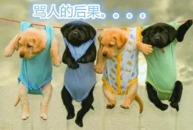 網(wǎng)絡(luò)噴子罵人詞匯 網(wǎng)絡(luò)侮辱性極強的罵人流行語詞語