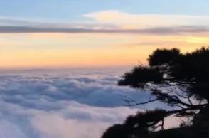 遠(yuǎn)赴人間驚鴻宴是什么意思  遠(yuǎn)赴人間驚鴻宴的意思介紹