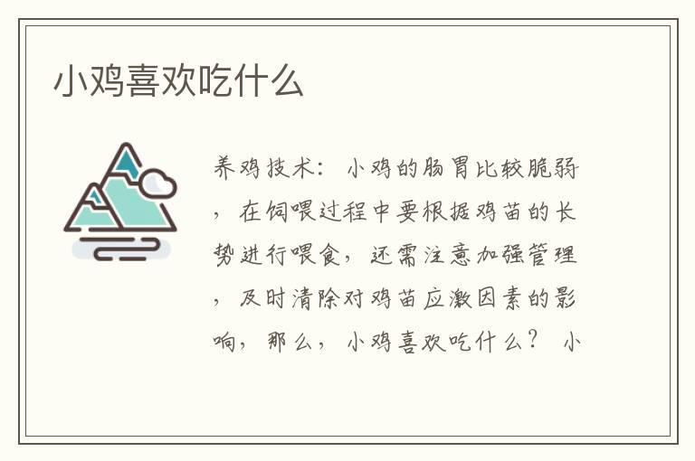 小雞喜歡吃什么 小雞喜歡吃的食物介紹