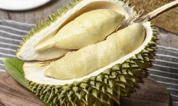 榴蓮種植條件和區(qū)域？榴蓮種植要哪些條件？
