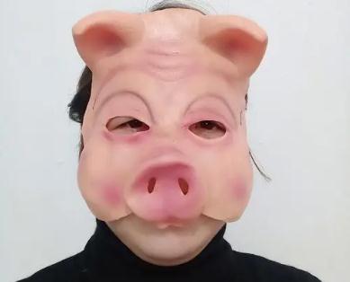 夢見豬頭是什么意思,好不好,預(yù)示著什么