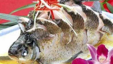 做夢(mèng)吃魚什么意思 夢(mèng)見吃魚肉是什么意思