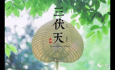 三伏天是幾月幾號2023？今年三伏天時(shí)間表2023最細(xì)消息