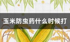 玉米防蟲藥最佳時(shí)間是什么時(shí)候