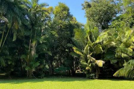 西雙版納<a href=/lvyou/ target=_blank class=infotextkey>旅游</a>攻略 勐侖植物園