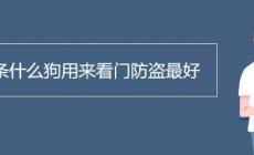 養(yǎng)條什么狗用來(lái)看門(mén)防盜最好
