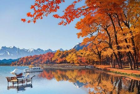 新疆15天<a href=/lvyou/ target=_blank class=infotextkey>旅游</a>費用
