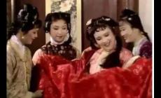 《紅樓夢》中薛寶琴是誰？薛寶琴的結局如何？