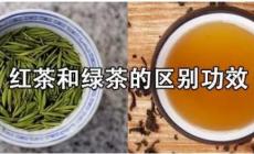 紅茶和綠茶的區(qū)別功效 二者的常見功效及區(qū)別