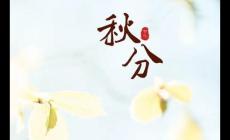 最新秋分節(jié)氣說說 縷縷秋風(fēng)送清爽