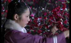 甄嬛傳皇上說(shuō)玉樓歸去是什么意思 皇上說(shuō)玉樓歸去是什么意思呢