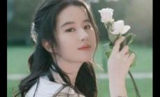 劉亦菲憑一部劇帶火了5個(gè)人，怎么回事？