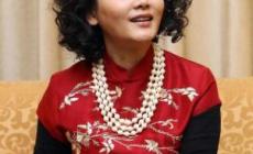 何賽飛個(gè)人簡(jiǎn)歷_何賽飛個(gè)人資料_何賽飛主演的電視劇