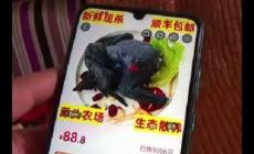 88元網(wǎng)購(gòu)的4只烏雞洗出一盆黑水，品質(zhì)被消費(fèi)者質(zhì)疑
