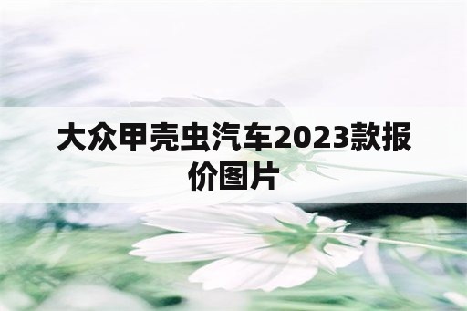 大眾甲殼蟲汽車2023款報(bào)價(jià)圖片 - 私寵百克