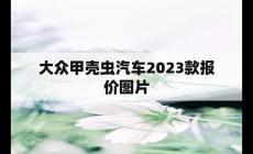 大眾甲殼蟲汽車2023款報(bào)價(jià)圖片（大眾甲殼蟲怎么樣）