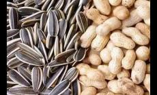 炒花生和瓜子哪個(gè)會(huì)更胖 炒花生和瓜子哪個(gè)會(huì)更胖呢