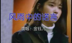 金鈺兒歌曲風(fēng)中的諾言歌詞  金鈺兒個(gè)人資料