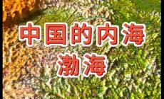 渤海是我國(guó)最大的內(nèi)海對(duì)嗎？
