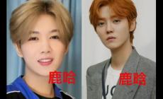 鹿哈真的月入500萬(wàn)嗎？鹿哈憑啥走紅？