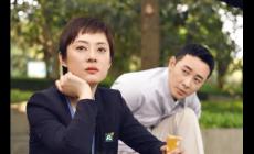 安家分集劇情介紹之大結(jié)局是什么