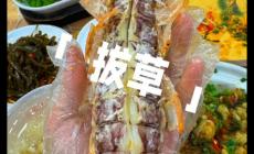 網(wǎng)紅拔草是什么意思 網(wǎng)紅拔草是什么意思啊