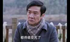 《江河日上》電視劇中鄭寒江的結(jié)局是什么？