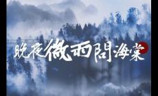 晚夜微雨問海棠歌詞完整版 晚夜微雨問海棠歌詞完整版可復(fù)制