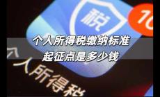個人所得稅繳納標(biāo)準(zhǔn)起征點 個人所得稅繳納標(biāo)準(zhǔn)起征點是多少錢
