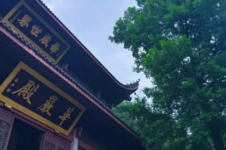 景區(qū)"升級"懲戒啦！靈隱景區(qū)免票預約后38萬人爽約是多少錢啊 圖5 
