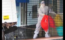 印度尼帕病毒最新消息/印度疫情死亡率高達(dá)40%到75%