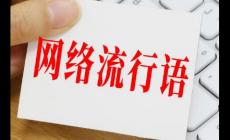 西北的菜,涂磊的湯是什么意思/什么梗
