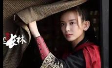 瑯琊榜之風(fēng)起長(zhǎng)林重華郡主是誰演的 重華郡主扮演者介紹資料