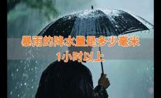 暴雨的降水量是多少毫米1小時以上 暴雨的降水量是多少毫米之間的